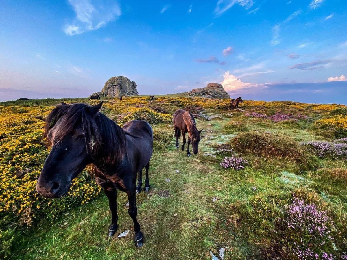 Haytor Court, Haytor, Dartmoor Lägenhet Exteriör bild